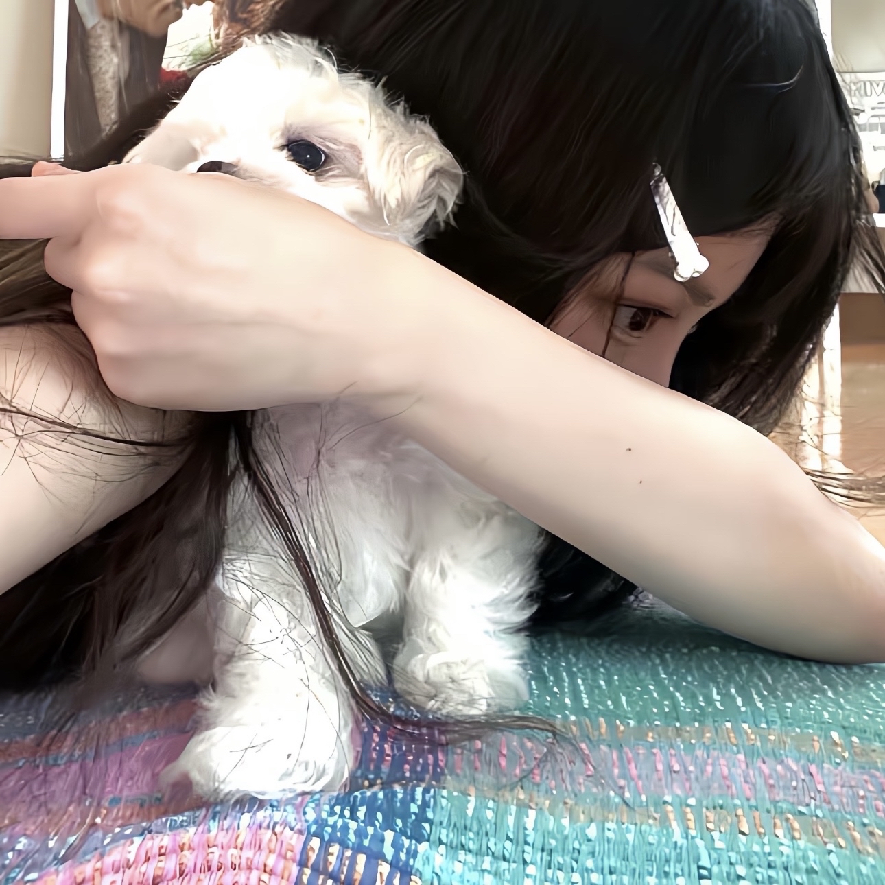 Muzze || Art & History Museum